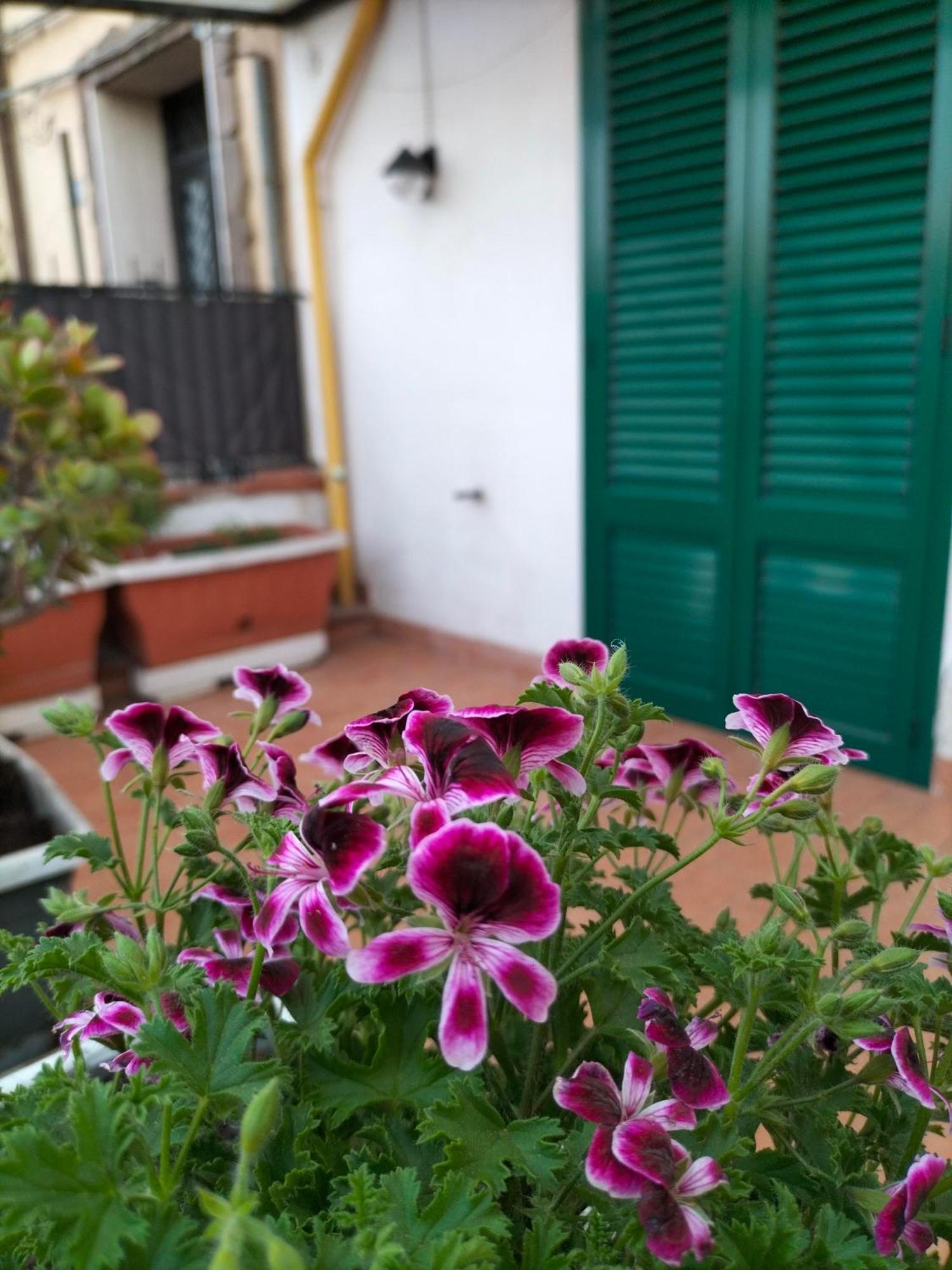 Ciuridda Mia Apartment Palermo Exterior photo