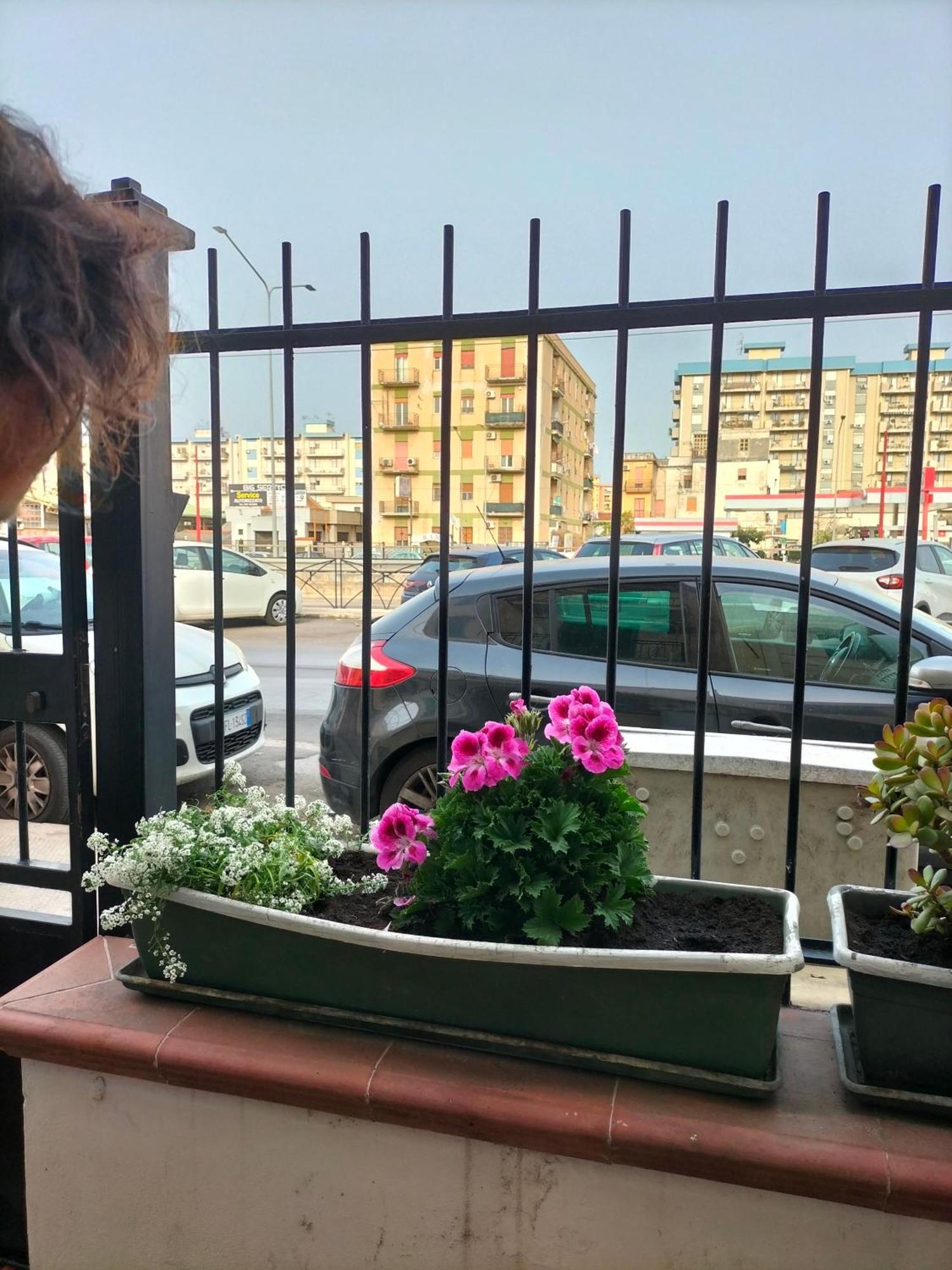 Ciuridda Mia Apartment Palermo Exterior photo