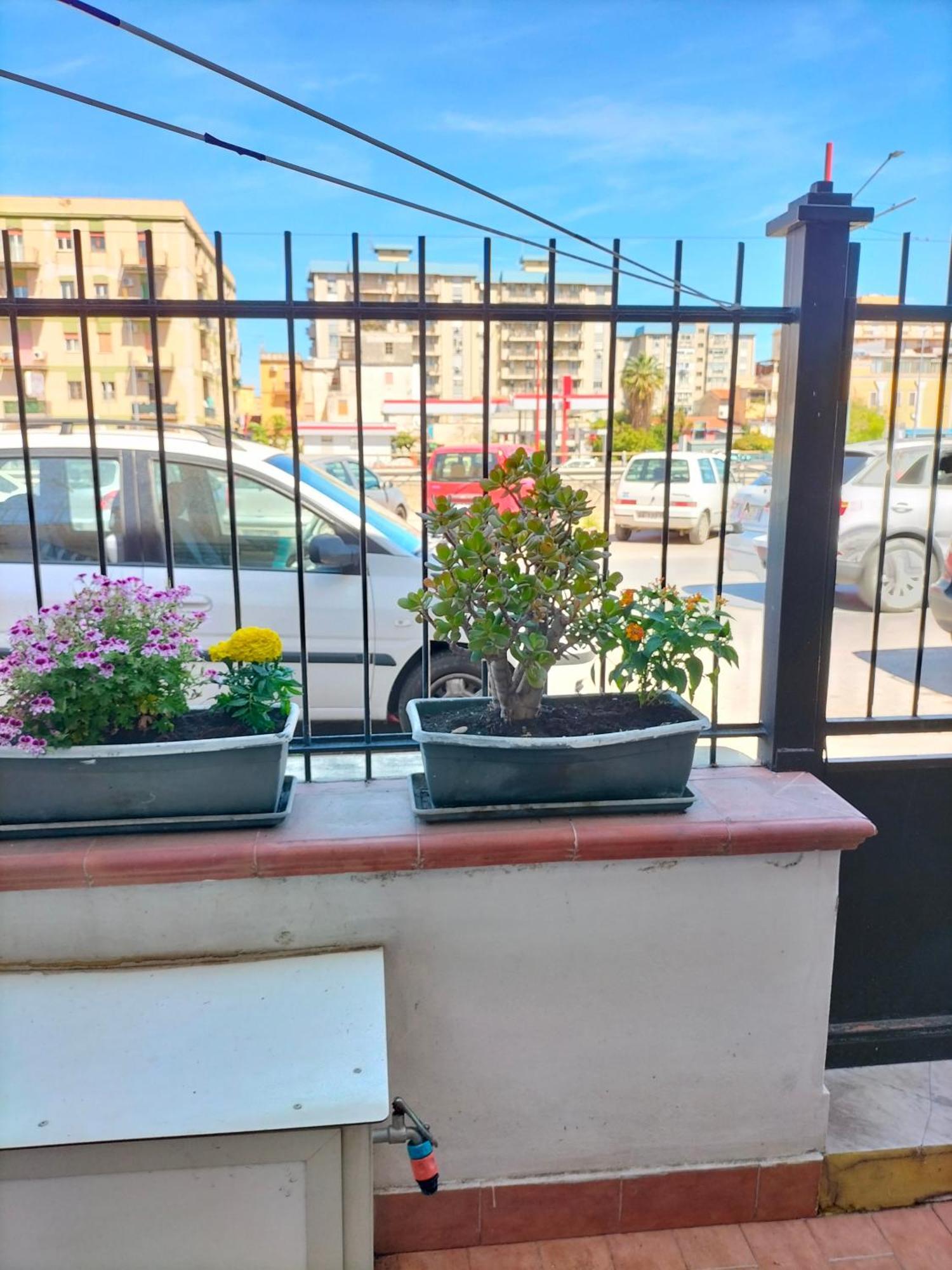 Ciuridda Mia Apartment Palermo Exterior photo